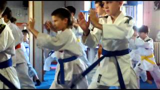 realni aikido sokolovi zrenjanin