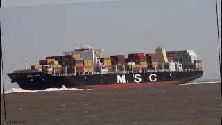MSC AZOV | Elbe höhe Otterndorf
