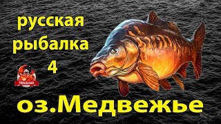 Русская рыбалка 4 озеро Медвежье  Карп. Где клюет?