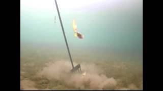 Lake St. Clair Perch Fishing/Spearing 2/8/2014