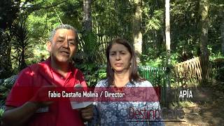 APÍA CORAZÓN DEL VIENTO 2019   DESTINO CAFÉ