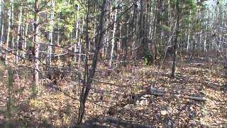 Усть-Илимск. вч 92712. октябрь 2011 г.