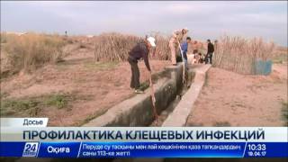 В Жамбылской области приступили к профилактике конго-крымской геморрагической лихорадки