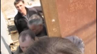 Вход на территорию самовольного строительсва в  Аркадии