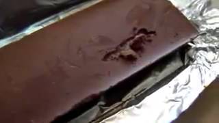 Earth worm founded in the Dairy Milk Chocolate