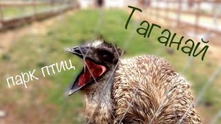 Скоро / Национальный парк Таганай / Парк птиц