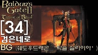 검은네로] 발더스게이트  [34] (드디어 첫 드래곤과의 격돌!! 쉐도우 드래곤인 탁슬'실리이아 마을을 구한 일행!)