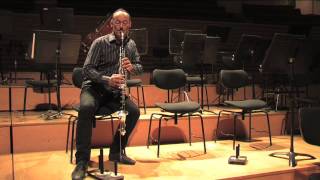 Le Concerto pour clarinette de Mozart par deux solistes de l'orchestre
