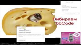 Как загрузить картинку на Яндекс Фото и вставить её на форум
