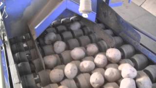 Cutting seed potatoes
