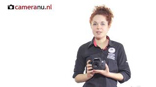 Canon EF 50mm f/1.8 STM