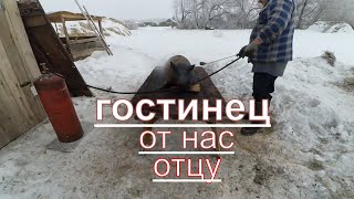 Забой свиньи. Разделка свиньи. Мастер класс от отца!