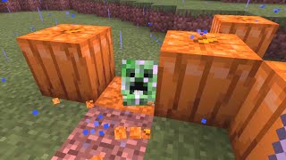 Perfectly Cut Cursed Minecraft #2