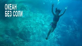 Что будет если ВСЯ морская вода станет пресной?
