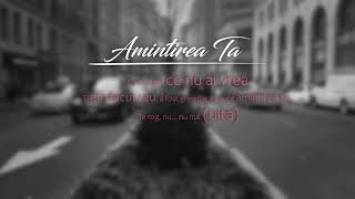 DMC x David GAERIS - "Amintirea Ta" (Lyrics Video)