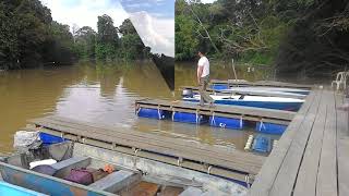Makam Sungai Sayong, Kulai, Johor DT
