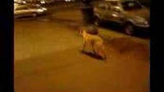 Moscow Petersburg группа "Люди из прошлого"