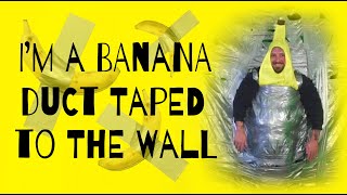 I’m a Banana Duct Taped to the Wall