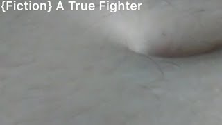 {Fiction} A True Fighter