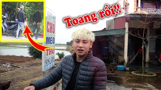 Hậu Cáo cùng Tụt đi tìm Chó Golden (gâu đần) ở lò mổ và cái kết - Tụt Channel