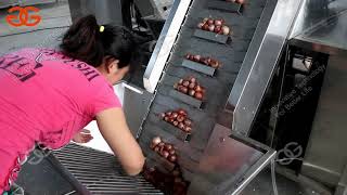 small onion peeling machine video