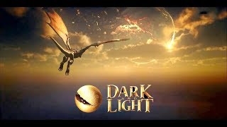 Dark and Light Raid