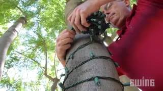Professional Grade 5mm Holiday Lights - Tree Wrapping Tips