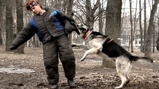 ВЕО Сердитый Страж Бат Хан на защите - 9 апреля Нижний Новгород