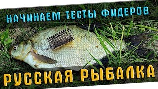 ТАК ЛИ ДОНКИ ХОРОШИ?! РОЗЫГРЫШ "ЦИФЕРКИ"  ?  РУССКАЯ РЫБАЛКА 4