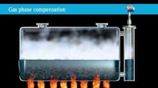 Levelflex Gasphase Compensation, High Temperature and High Pressure