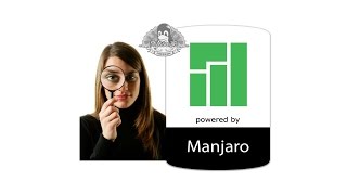 Review Revisión a Majaro el Arch para principiantes, Pros y Contras