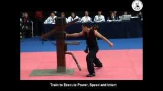 Choy Lee Fut Wooden Dummy 蔡李佛陳家