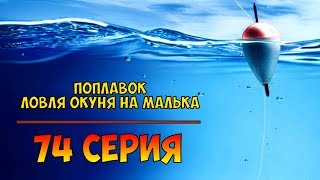 Серия 74. Поплавок. Ловля окуня на малька. Рыбалка с Нормундом Грабовскисом.