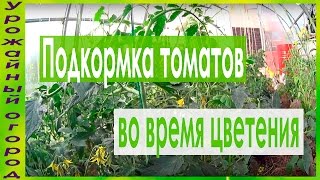 ПОДКОРМКИ ТОМАТОВ ВО ВРЕМЯ ЦВЕТЕНИЯ!