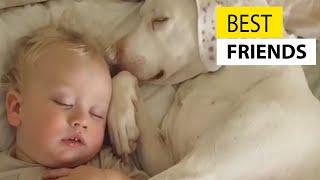 Cute Babies and Dogs || JukinVideo