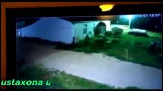 кора жинлар куринг росияда камерга тушган