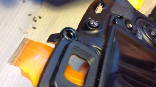Nikon D3100 : разборка и ремонт. Потайные винты.