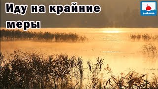 Ловля плотвы и линя на поплавок, подводные съёмки, шокирующие выводы...