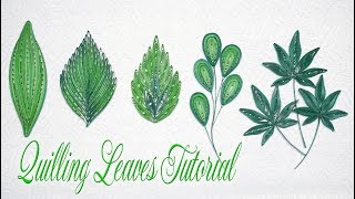 QUILLING LEAVES TUTORIAL P2 | DIY PAPER LEAVES TUTORIAL