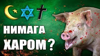 НИМА УЧУН ЧУЧКА ХАРОМ ? ЧУЧКА ГУШТИ ХАКИДА / CHO'CHQA / QIZIQARLI DUNYO