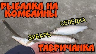 Рыбалка на комбайны ТАВРИЧАНКА Зубарь и селёдка на комбайны