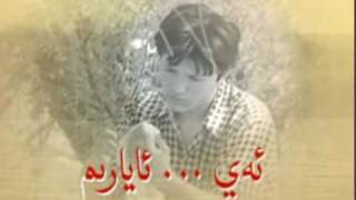 Tarim Nahxisi