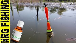 Ловля карася на корвалол в камыше | Поклёвки карася на поплавок