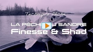 Berkley : Pêche du Sandre