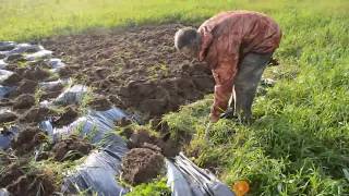 легко и просто убираем траву