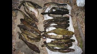 рыбалка с острогой 2