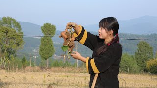 【二米炊烟】花6个月的时间种出红薯，做成淀粉和宽粉，煮个火锅吃真满足