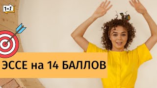 ЭССЕ НА 14 БАЛЛОВ. ПОДГОТОВКА К ЕГЭ.