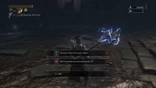 Амигдала, проклятая и осквернённая чаша / Amygdala Bloodborne