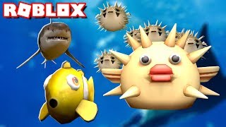 CHAD STARTS A FAMILY | Roblox Fish Simulator w/ Gamer Chad and Dollastic Plays! | MicroGuardian